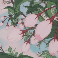 �����Ҫ���ٺ������½��꼴����ʼ����