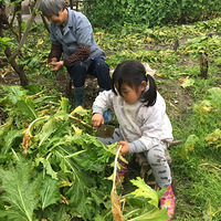 ��Ƶ�������㽭10��Ů����������¡�˲��ˢ������Ȧ��