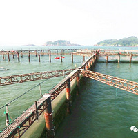 �㽭�ձ� | һ�����˵ļ��ܶ�����̨�ݴ�µ���ɣ�ޱ䣺�ѻ�