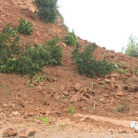 ͻ����ӿȪ���·�η��������������˾�������У�