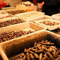 @�Ի������ʣ����ˣ�