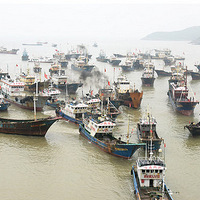 ̨�ݽ��롰���ݼ�������8�ֺ����������Ҫ�ϲ飡