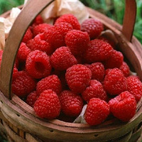 ÿ���4.5Ԫ��̨�ݸ����ӽ�����