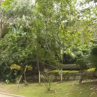 ���գ�һ��4��˫��̥��17¥׹�£��漣������