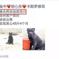 ����ȡ�����ǹܡ���Э�ܡ������ӱ�����10�죬ԩ�𣿾���������