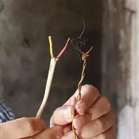 �������ʵ�°��¡�����������������������������