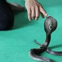 �岽�ߣ�̨��Ů����ɽ���񱻶���ҧ���������ͷ�������ˡ�