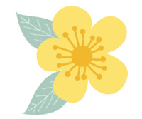 ��ר�ơ������� | ����ҽ�ƴ�ѧ����̨�ݸ�Ů��ͯҽԺȫ�濪��