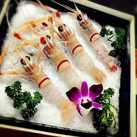 ̨�ݿ�ľ��һ����ľ�ͺд����