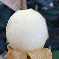 ����ˮ�������ɽ��ɳ����������!