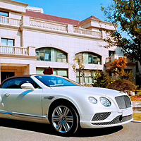 17GTC 6.0T