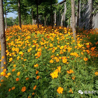 �齭���ߵĻ������Ͻ������ˣ�