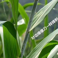 ����ʯ����ɽ������·�ѷ⣿�ص㲻�ԣ���ȷʵ�С���