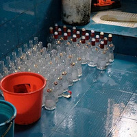 ��ȵ�ę́����"����������"���㽭8�ҵ�