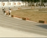 �˲���17��ĺ��ӣ����������������Լ�������Ƶ��