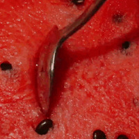 ������ʱ�������ģ��������������֤Ƥ��֭�໹����