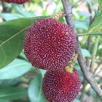 С�����ҵ��ɾ���÷���ǳ���Ŷ��ת������齱�