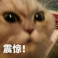 㤣˸ᣬͻȻӵֻ...