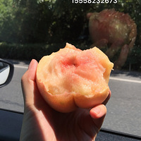 ���ڵķˮ���Ҽ�����������������