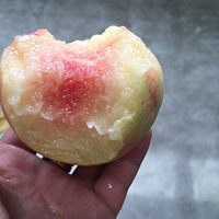 ˮ���ҿ񻶽ڣ�����