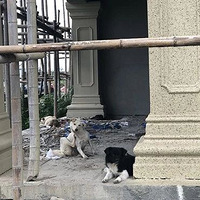 �ľ�����������ĳС�����˹���Ⱥ��ӣ�һ����ҧ��5�ˣ�