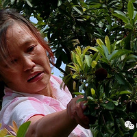 �ٺ��Ի��Ŀ�ˮ��Ҫֹ��ס�ˣ�������÷���������ˣ�