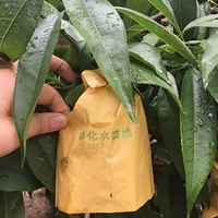 �Լҷˮ����Ԥ����ʼ��