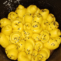 ʲ