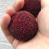 ������÷