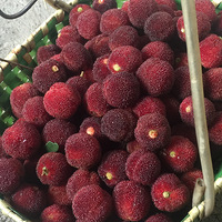 �ɾӶ�����÷ �Լ���÷ɽ