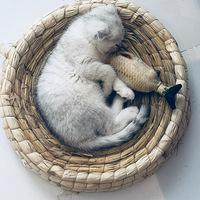 ̨��MR��MOè��