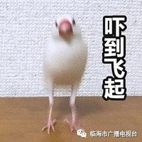 Ϊǰ˾γ