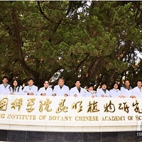 ��ɽֲ��Ӧ�ÿ����� ֲ��ҽ��Ұɽ��ϵ�м�������