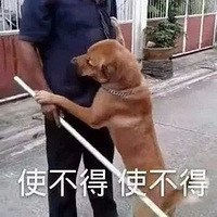 ìִȻˡҡ桱ָϣ