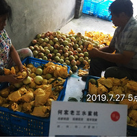 2���𴲸ɻ���