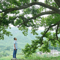 ���긻���Ų裬ֵ��һƷ����Ǯ��