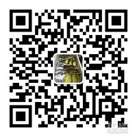 ����ں���������Լ۱����ã�Ҳ�����Լ�ѡ�䣬������Ʒ��ѡ��