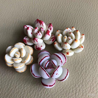 ���������Ŷ���