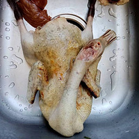 ��ͥ�潪ĸѼ