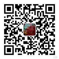 �ߵ���װ�岹 �廨�ǻƸ���