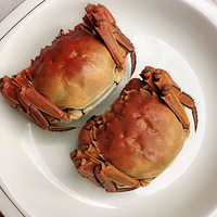 �ӡ����ճ�