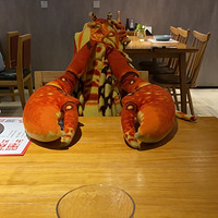 �����ң��