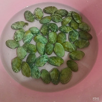 ���Ի���̨��No.37�����ջ���