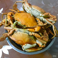 ��������ʳ�����ġ��ڼ��³�