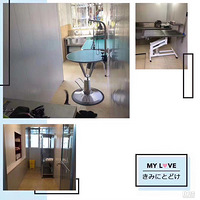 ��Ҫ֪ͨ!�������������ҵ����