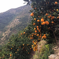 ~~~~~����ӿȪ�۽۳���~~��ӭ���ѡ��~~~~~