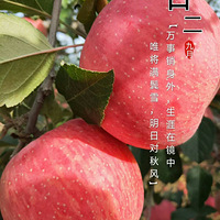 �Լ��ҵ�ƻ��û����·�����й�����Աͨ��һ�¡�