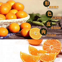 �ֵ�ӿȪ���ټ���