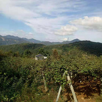 �ٺ��ж�����ˮ᮴��ɽ��һ��8Ķɽ�ض������