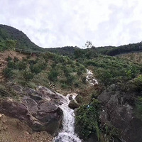 �ϵ�ӿȪ����